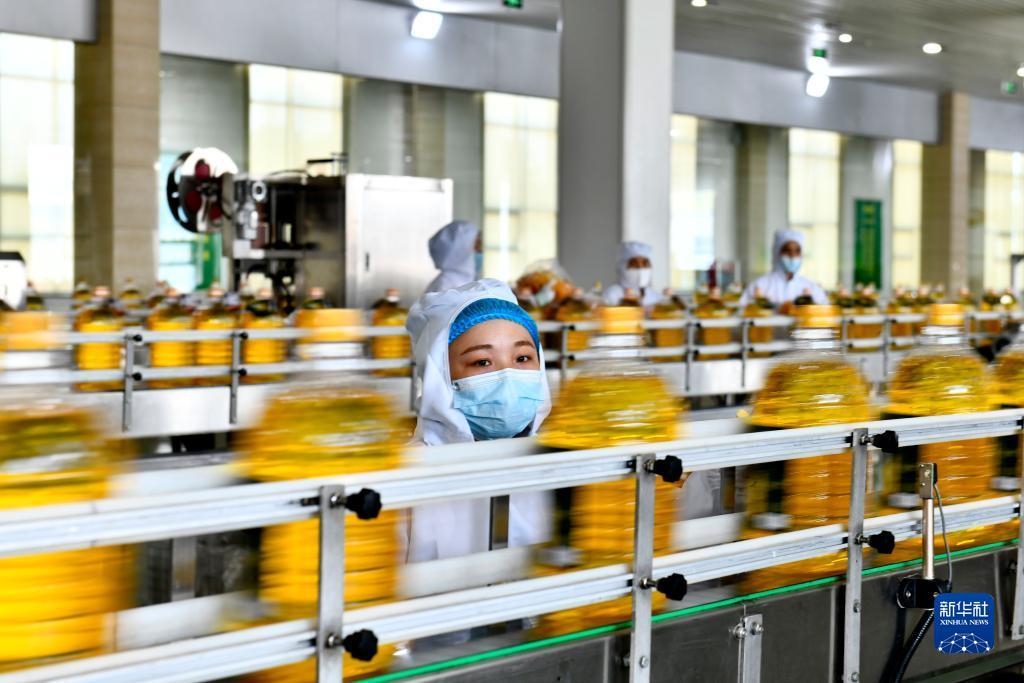 白菜送彩金100可提款